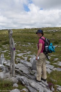 Wanderung über die Kartslandschaft Burren