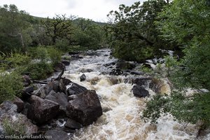 Der River Laune beim Ring of Kerry