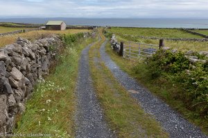 Wege zwischen Steinmauern auf der Aran-Insel Inishmore