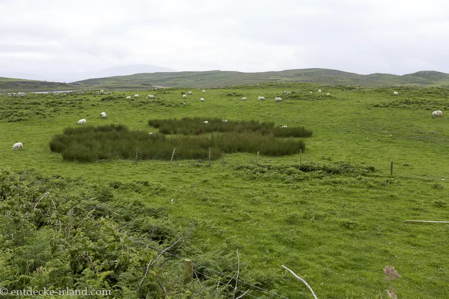Grüne Wiesen im Osten von Rathlin Island.