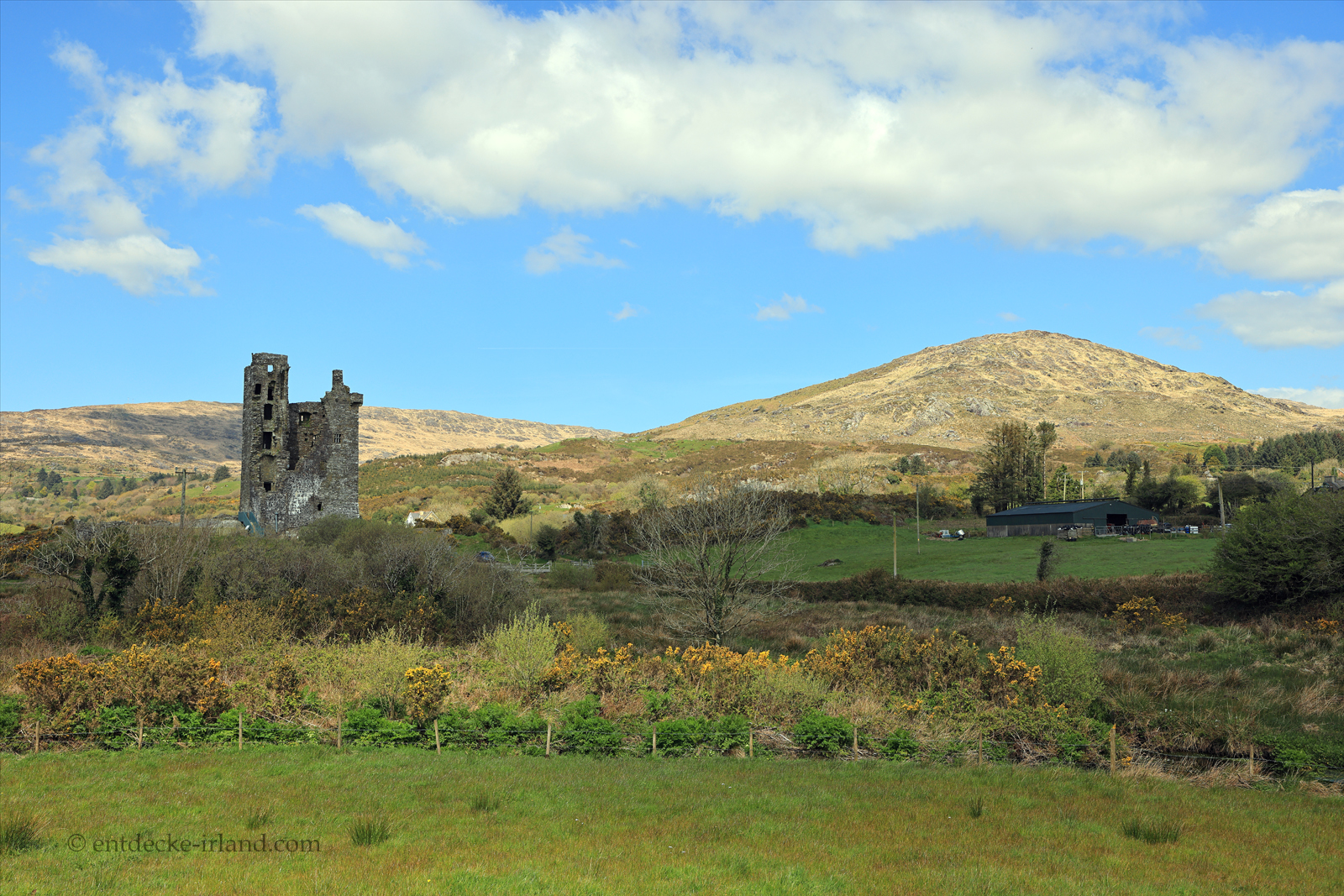 Das Castledonovan Castle am River Ilen