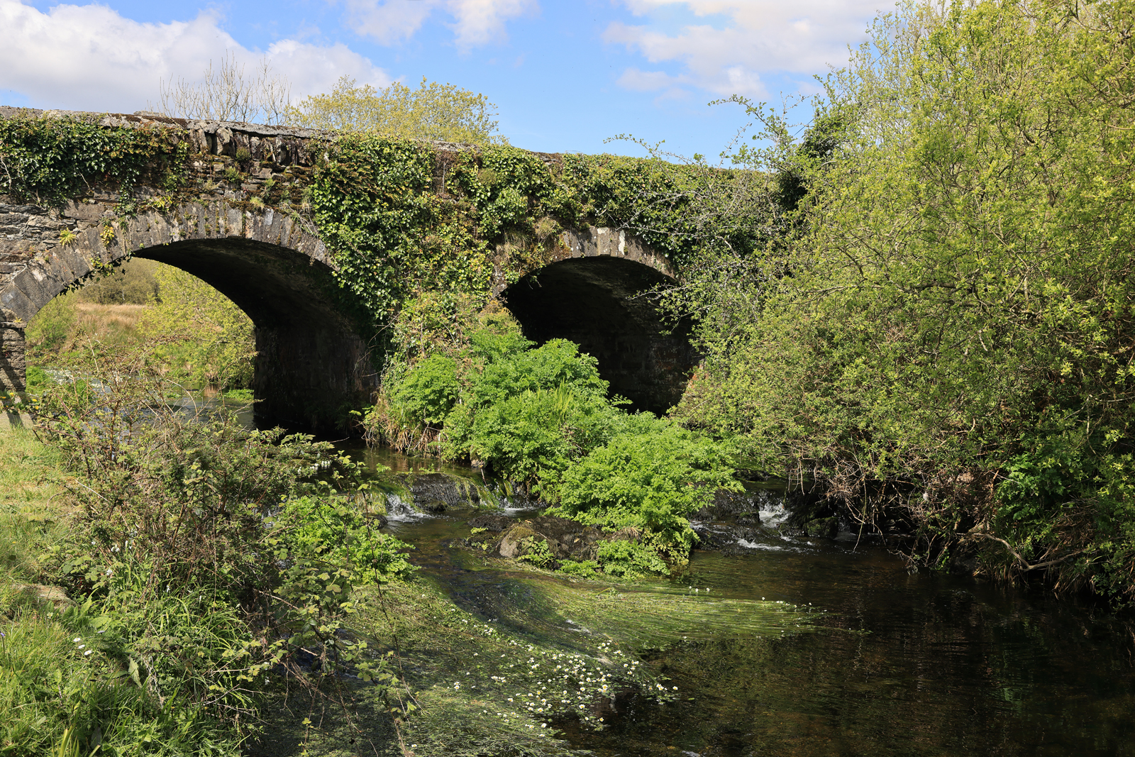 Zwei Bögen der Castledonovan Bridge überspannen den River Ilen