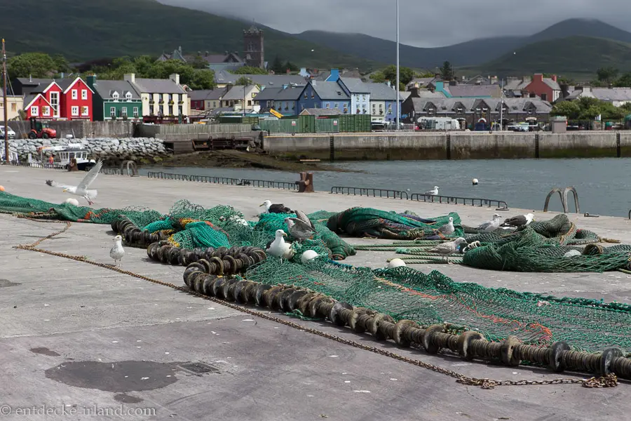 Hafen von Dingle in Westirland