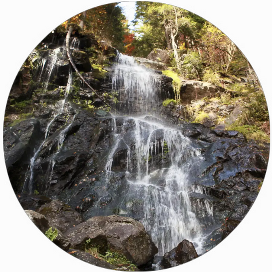 Wandern im Schwarzwald