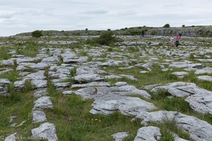 typische Felslandschaft des Burren in Irland