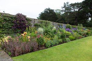 im Walled Garden von Glenarm Castle
