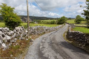 Burren | Auf dem Carran Loop durch die Karstlandschaft