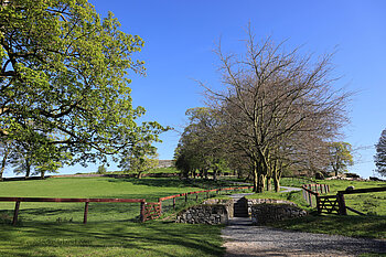 Spazierweg vom Ort Cashel zum Rock of Cashel in Tipperary