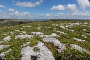 überall Steinplatten im Burren