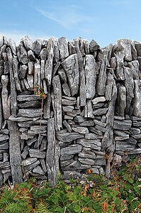 Trockensteinmauer Inish Oírr