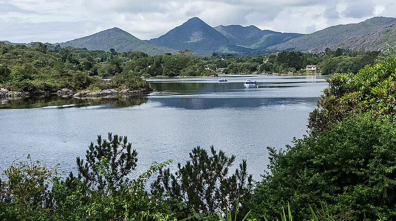 Aussicht auf die Bucht von Glengarriff