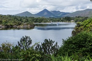 Aussicht auf die Bucht von Glengarriff