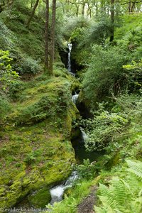 der Poulanass Wasserfall bei Glendalough