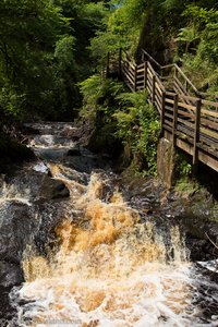 Ess-Na-Larach-Waterfall im Glenariff Forest Park