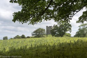 Auf dem Hügel sehen wir Audley's Castle bei Castle Ward.