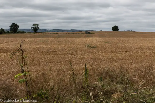 Die flache Landschaft im County Carlow