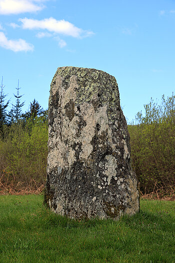 Der größere der beiden Clodagh Standing Stones