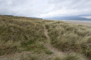 Sanddünen der Küste von Dorne