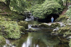 Anne beim Shimna-Fluss im Tollymore Forest Park