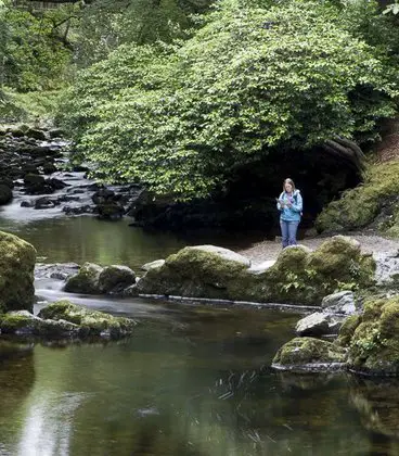 Tollymore Forest Park