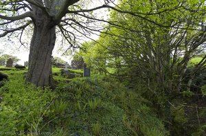 Die Layd Old Church, umgeben von üppigem Grün.