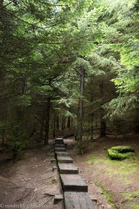 Holzbohlen auf dem Rückweg