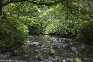 Blick über den Shimna-Fluss im Tollymore Forest Park