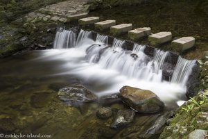 Trittsteine beim Shimna-Fluss im Tollymore Forest Park