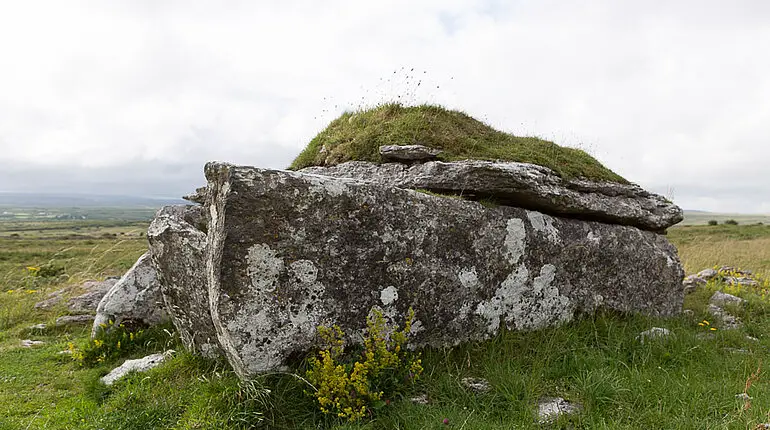 Parknabinnia Dolmen bei Carran