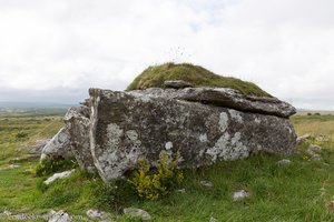 Parknabinnia Dolmen bei Carran