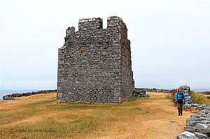 O'Brians Castle