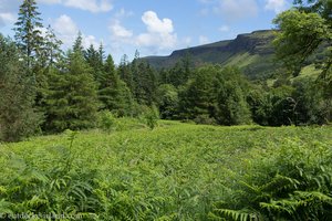 Aussicht vom Glenariff Forest Park zur Küste