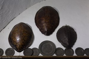 Schildkrötenpanzer dienten damals als Geschirr oder Abdeckungen