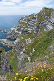 Steilküste bei den Cliffs of Kerry