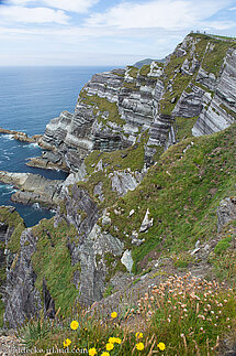 Steilküste bei den Cliffs of Kerry