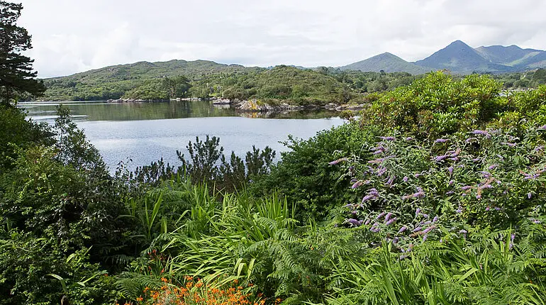 Ausblick von Garinish Island