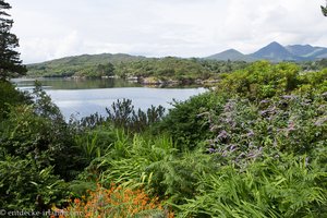 Ausblick von Garinish Island