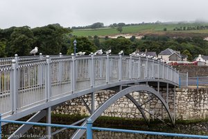 Möwenbrücke in Glenarm