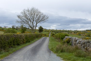 Straße durch die Moune Mountains