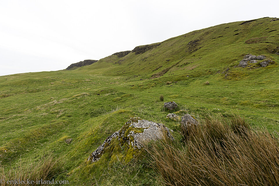 Die Wiesen bei Linford Barrows nahe Cairncastle, Irland