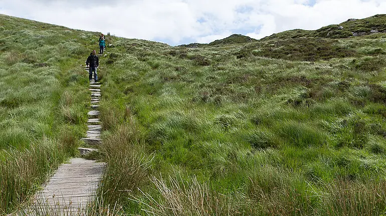 Weg durch die Sumpflandschaft