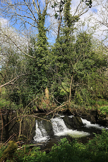 Upper Deelish Cascades am River Ilen