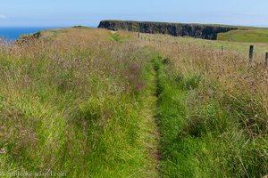 Wanderung am Giant's Causeway