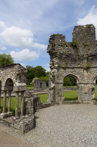 Zwischen den Ruinen von Mellifont Abbey