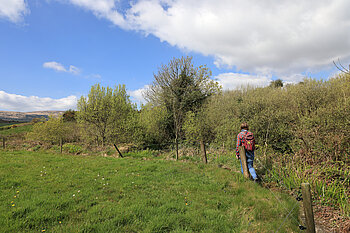 Wanderin auf dem Deelish Cascades Walk