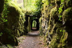 schöne Tunnel auf dem Pigeon Hole Loop