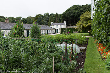 im Küchenkräutergarten von Walled Garden des Glenarm Caslte