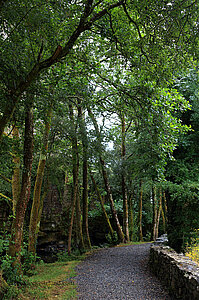 Weg am Drimneen River