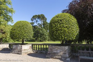 hier waren Gartenkünstler bei der Arbeit - Mount Stewart