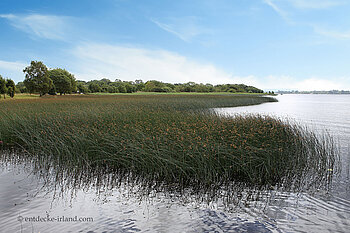 Lough Derk